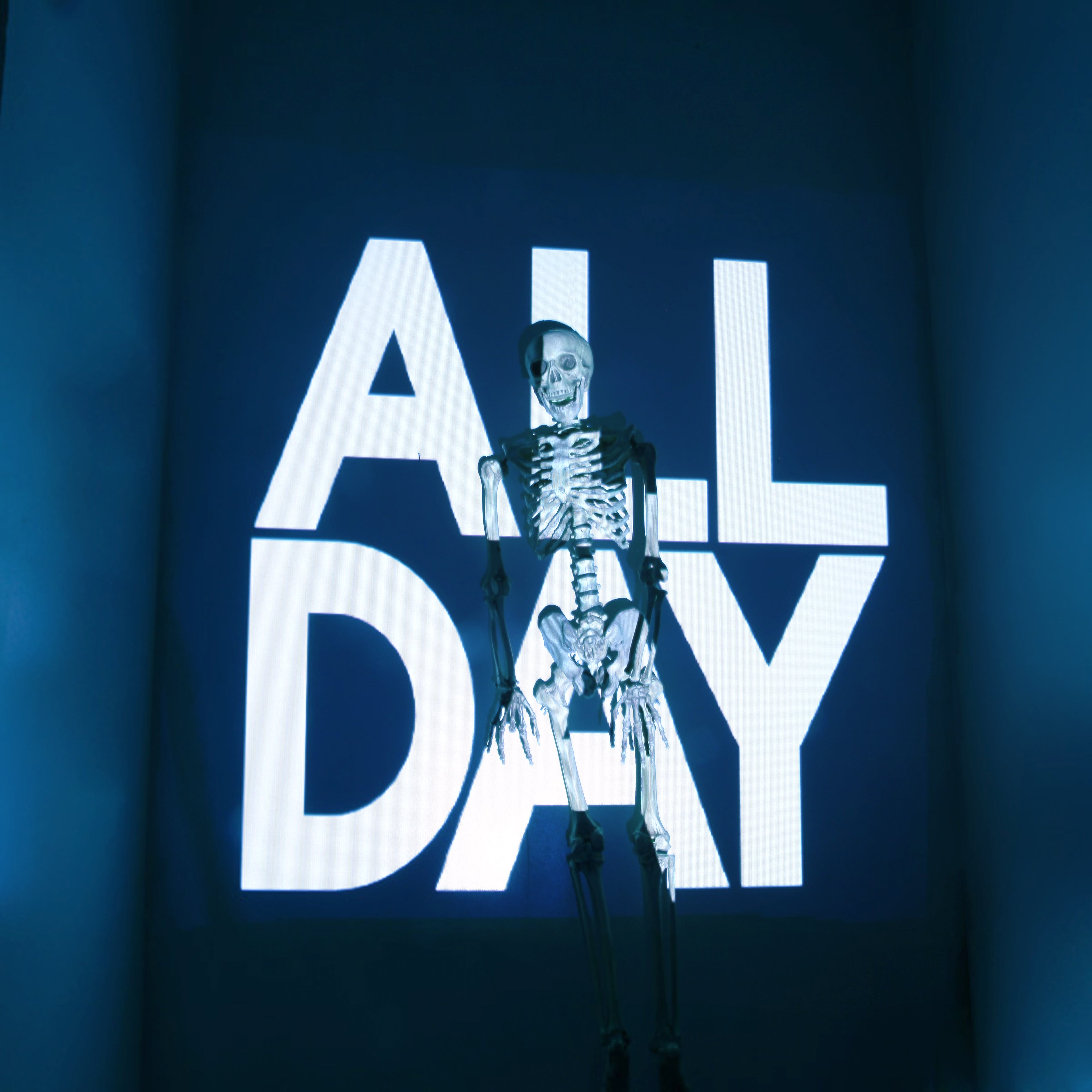 Girl Talk - All Day Digital Download